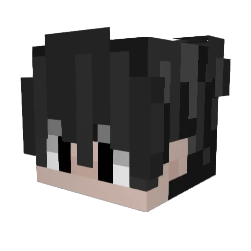 Sarlatix Minecraft avatar head, 3D render