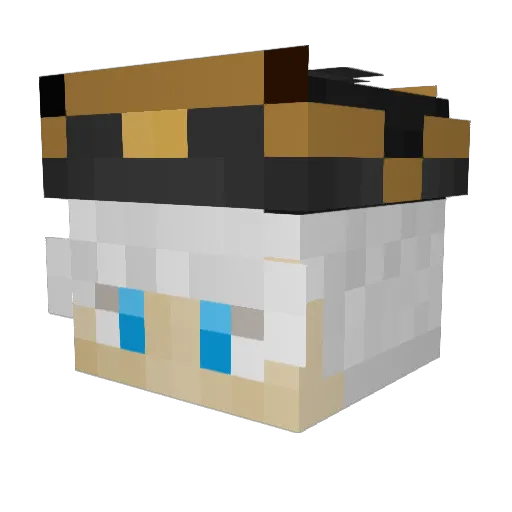 Sarlician Minecraft avatar head, 3D render