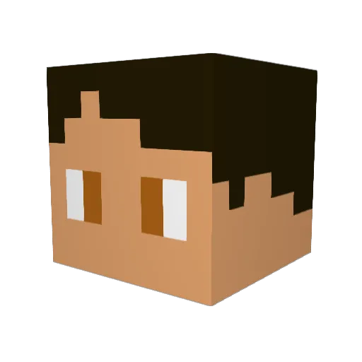 Sarll Minecraft avatar head, 3D render