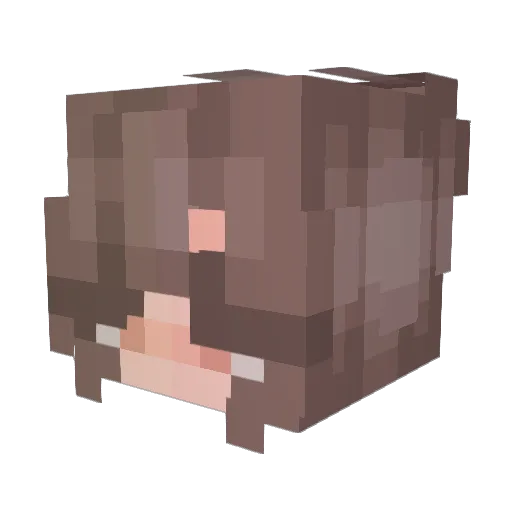 Sarmad_99 Minecraft avatar head, 3D render