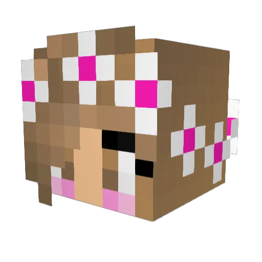 SarnaMC Minecraft avatar head, 3D render