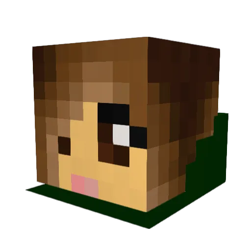 Sarnethia Minecraft avatar head, 3D render