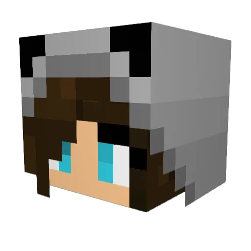 Saroket Minecraft avatar head, 3D render