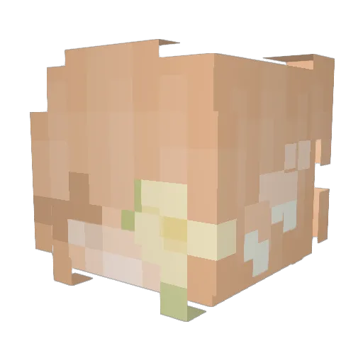 SarouSun Minecraft avatar head, 3D render