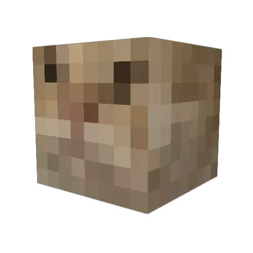 Sarpilo Minecraft avatar head, 3D render