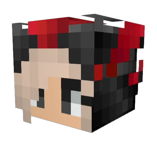 Sarrayye Minecraft avatar head, 3D render