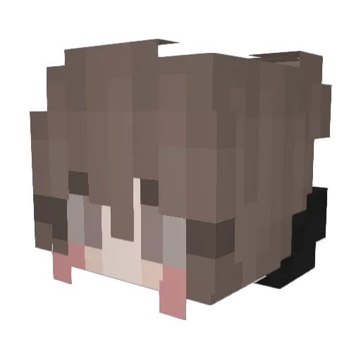 Sarryberry4u Minecraft avatar head, 3D render