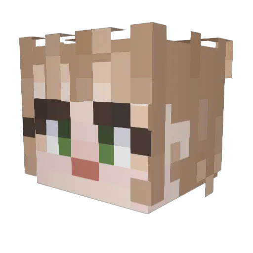 Sarsamel Minecraft avatar head, 3D render