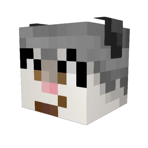 Sarsaparilla Minecraft avatar head, 3D render