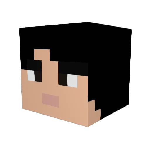Sarti2a Minecraft avatar head, 3D render