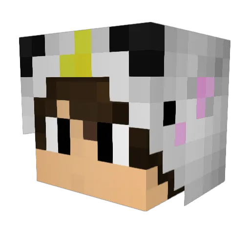 Saruka29 Minecraft avatar head, 3D render