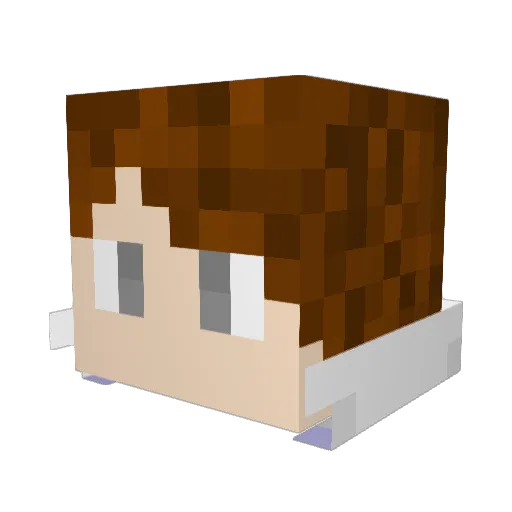 Sarumai99 Minecraft avatar head, 3D render