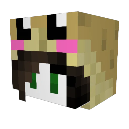 Sarus66 Minecraft avatar head, 3D render