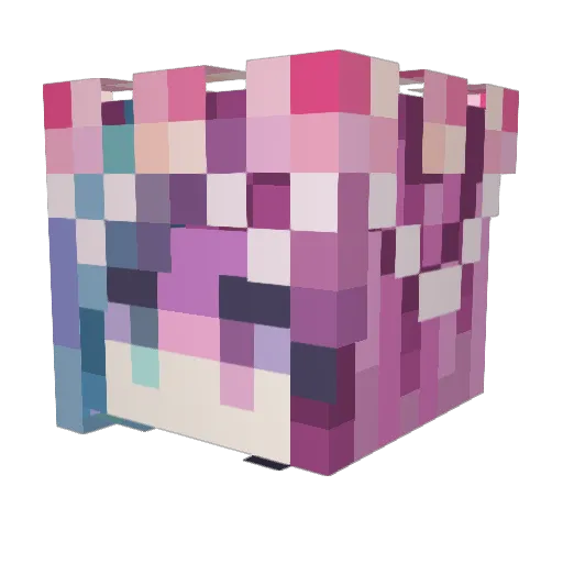 Sarvyn Minecraft avatar head, 3D render