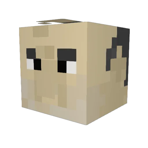 Saryw Minecraft avatar head, 3D render