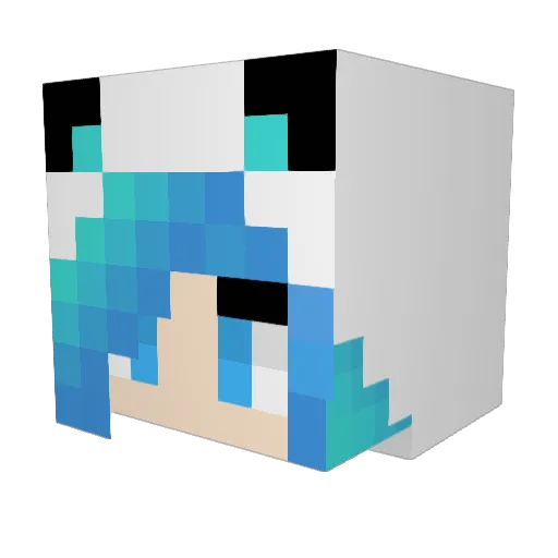 Sarztx Minecraft avatar head, 3D render