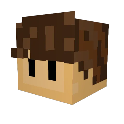 SasBaw Minecraft avatar head, 3D render