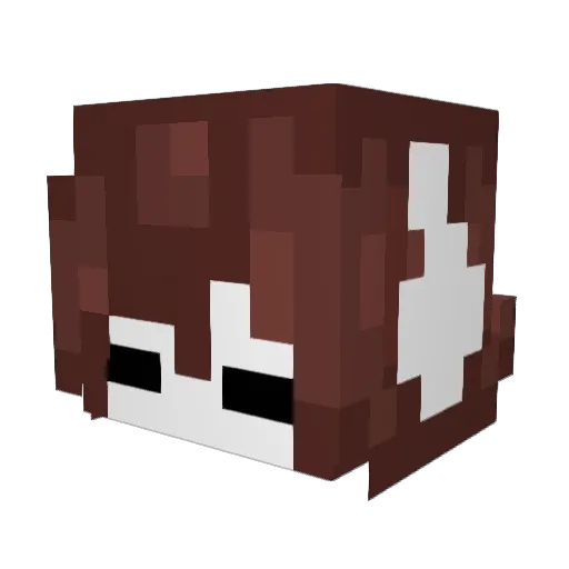 SasGor2005 Minecraft avatar head, 3D render