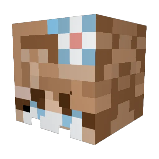 Sasa1910 Minecraft avatar head, 3D render