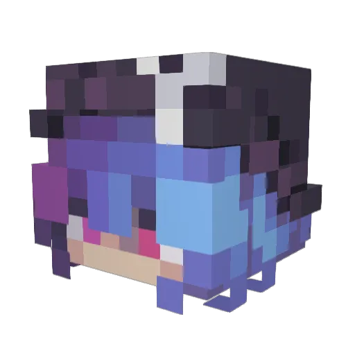 Sasa_19 Minecraft avatar head, 3D render