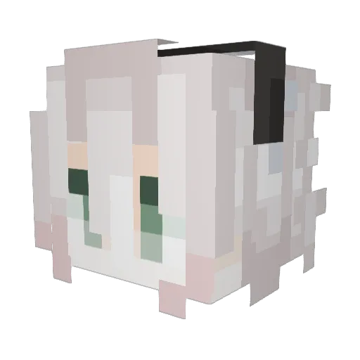 Sasadness Minecraft avatar head, 3D render
