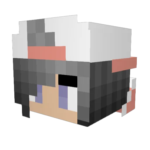 Sasc11821182 Minecraft avatar head, 3D render