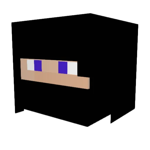 Sasch2010 Minecraft avatar head, 3D render