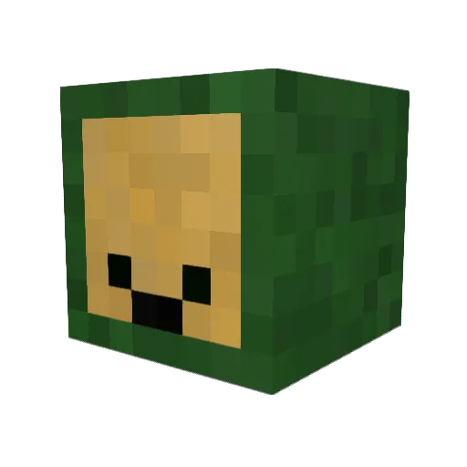 Sasch7 Minecraft avatar head, 3D render