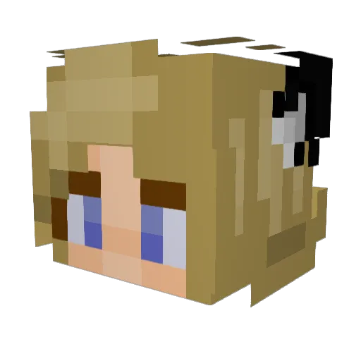 Sascha06 Minecraft avatar head, 3D render
