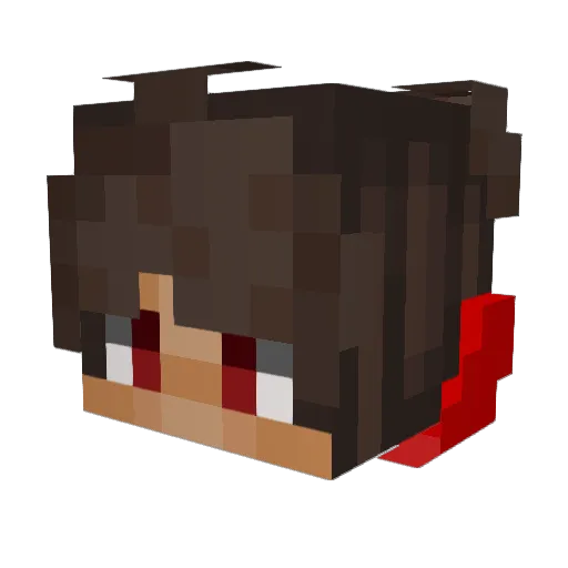 Sascha1001 Minecraft avatar head, 3D render