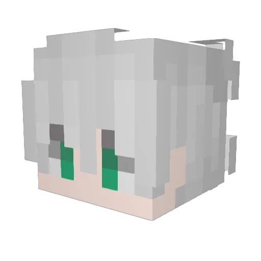 Sascha_1337 Minecraft avatar head, 3D render
