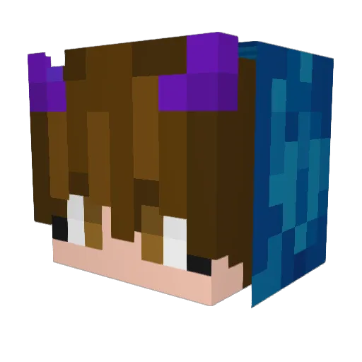 Sascha_Fiedi25 Minecraft avatar head, 3D render