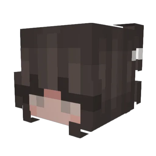 Sascha_sas Minecraft avatar head, 3D render