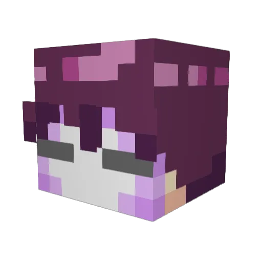 Saschee Minecraft avatar head, 3D render