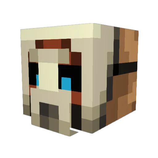 Saschkin Minecraft avatar head, 3D render