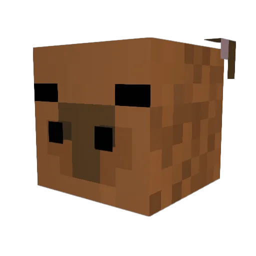 Sasengas Minecraft avatar head, 3D render