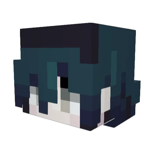 Sash_Chat Minecraft avatar head, 3D render