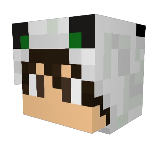 Sasha2502 Minecraft avatar head, 3D render