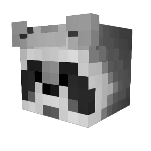 SashaErika Minecraft avatar head, 3D render