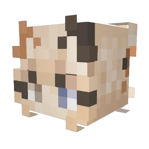 SashaMaeve Minecraft avatar head, 3D render
