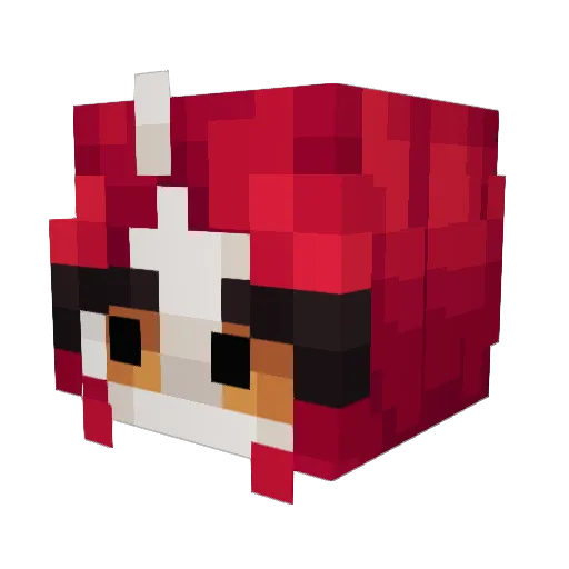 SashaPlay17 Minecraft avatar head, 3D render