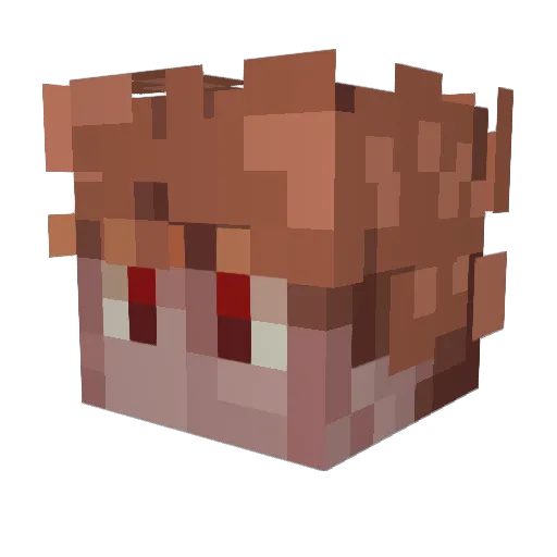 Sasha_03150 Minecraft avatar head, 3D render