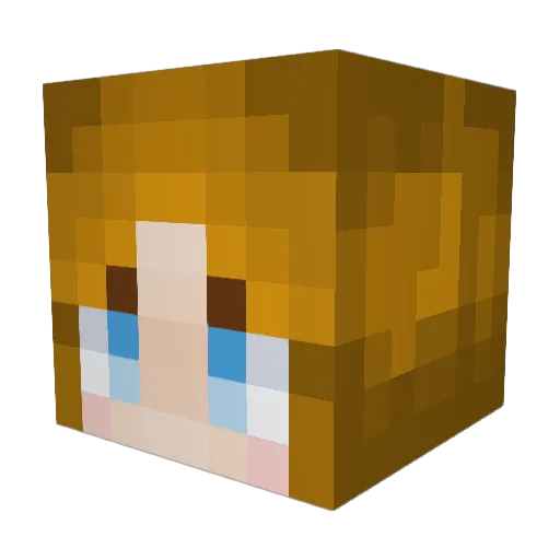 Sasha_14 Minecraft avatar head, 3D render