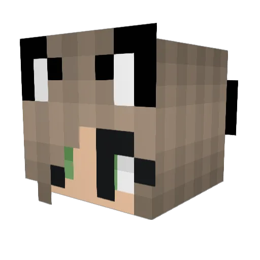 Sasha_B Minecraft avatar head, 3D render