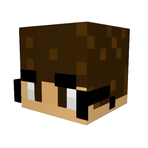 Sashark125 Minecraft avatar head, 3D render