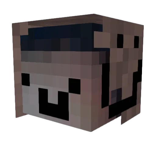 Sashavalagalahan Minecraft avatar head, 3D render