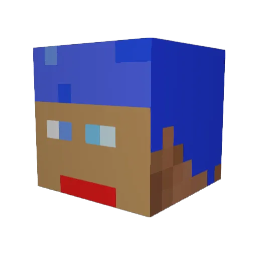 Sashi4020 Minecraft avatar head, 3D render
