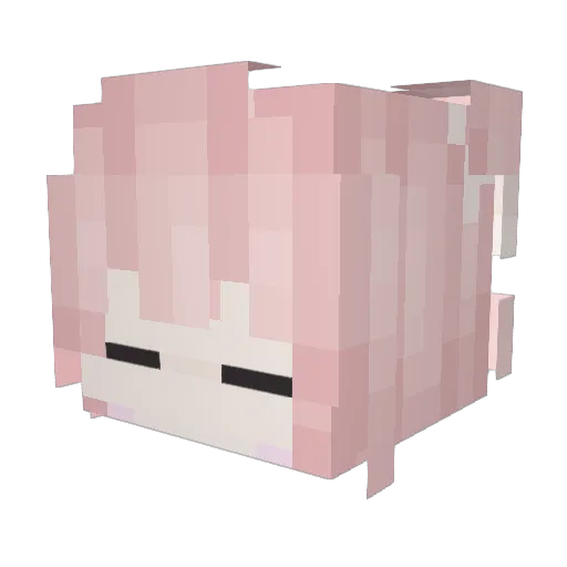 Sashies Minecraft avatar head, 3D render