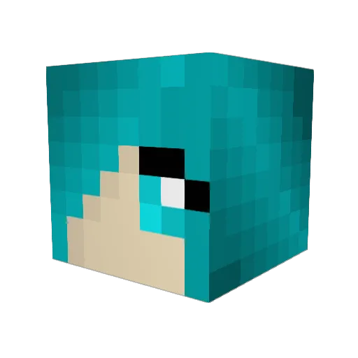 Sashimi513 Minecraft avatar head, 3D render