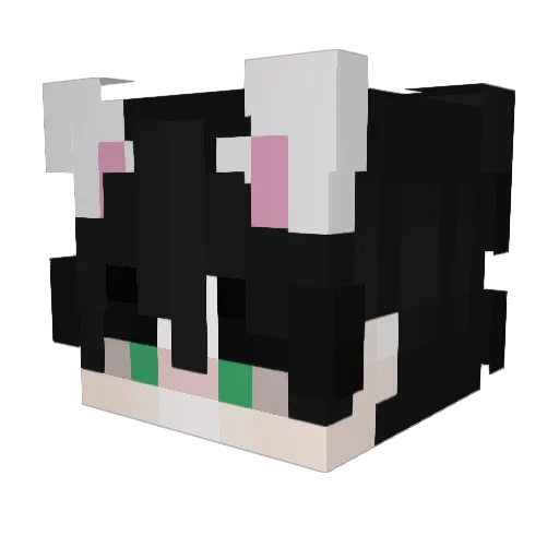 Sashishok Minecraft avatar head, 3D render